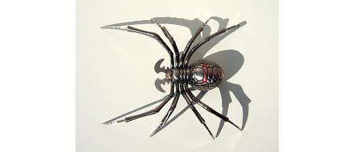 Spinne 2